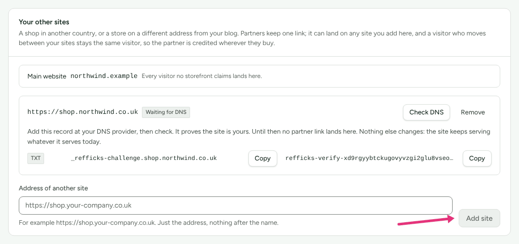 The Your other sites card, with the main website and a second site waiting for its DNS record, and an arrow at Add site.